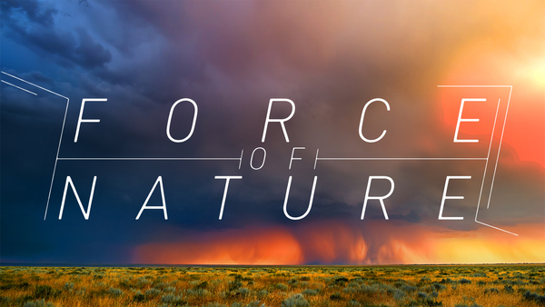 Force of Nature