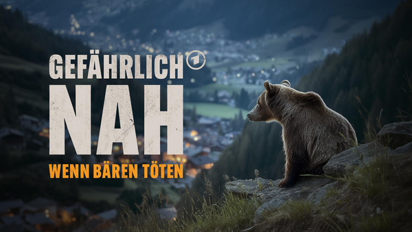 Gefährlich nah - Wenn Bären töten