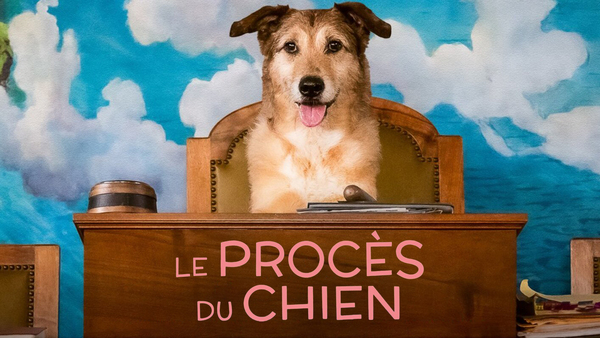 Le procès du chien