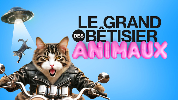 Le grand bêtisier des animaux