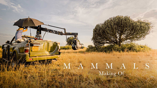 Mammals: Making Of