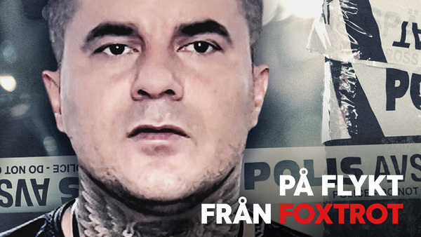 På flykt från Foxtrot