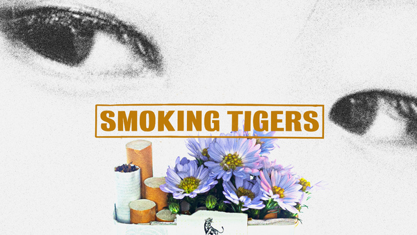 Smoking Tigers