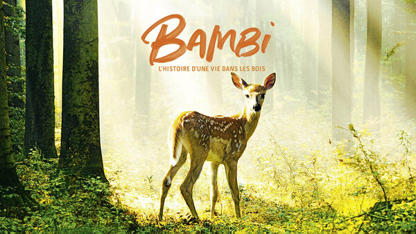 Bambi, l'histoire d'une vie dans les bois