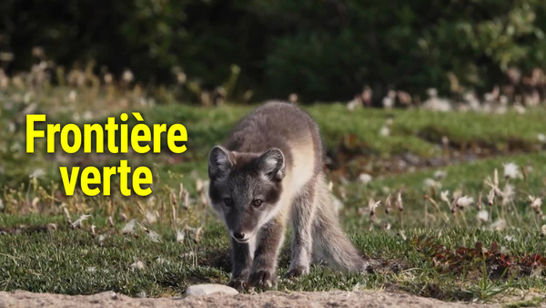 Frontière verte
