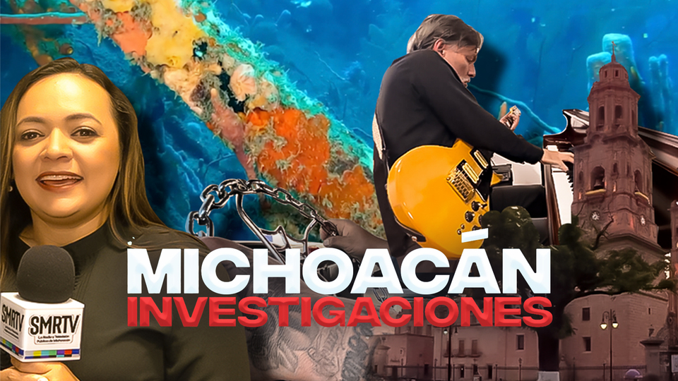 Michoacán investigaciones
