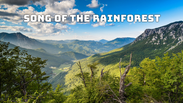 Song Of The Rainforest