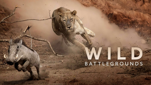Wild Battleground
