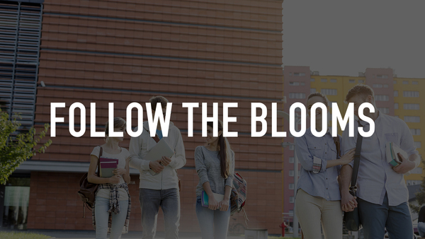 Follow the Blooms