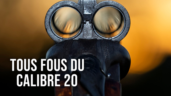 Tous fous du calibre 20