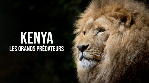 Kenya : Les grands prédateurs