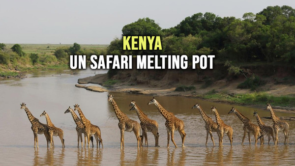 Kenya : Un safari Melting pot
