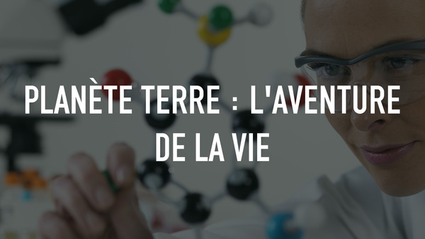 Planète Terre : l'aventure de la vie