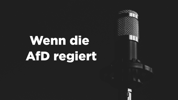 Wenn die AfD regiert