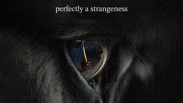 Perfectly a Strangeness