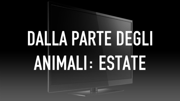 Dalla parte degli animali: Estate