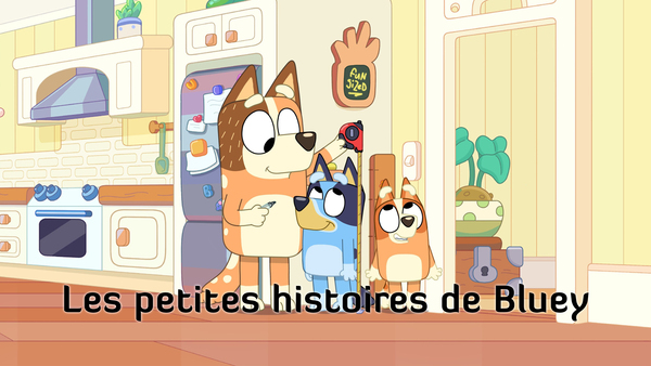 Les petites histoires de Bluey