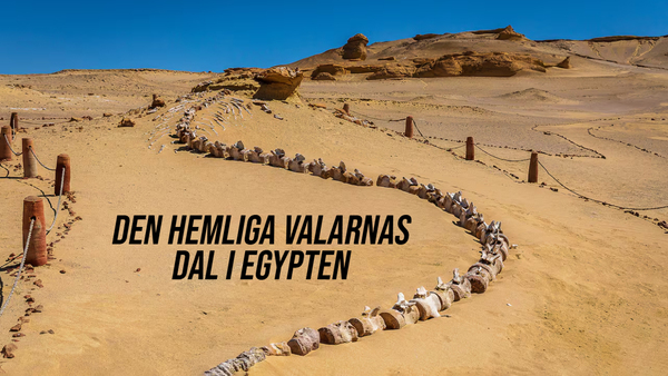 Den hemliga Valarnas dal i Egypten