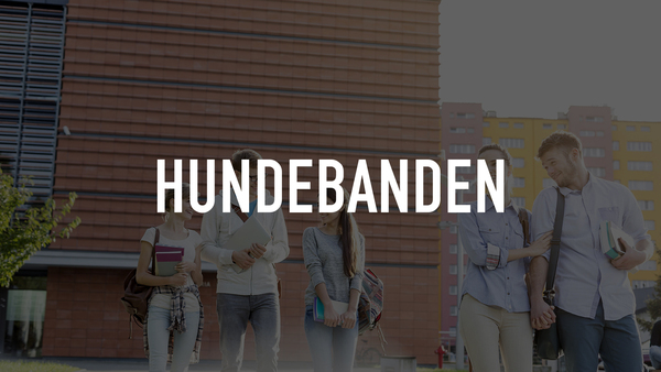 Hundebanden