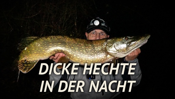 Dicke Hechte in der Nacht