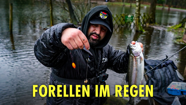 Forellen im Regen