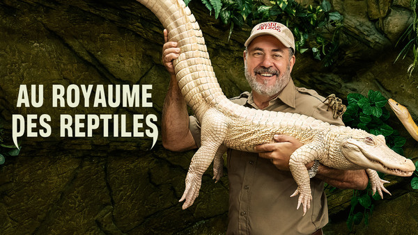 Au royaume des reptiles