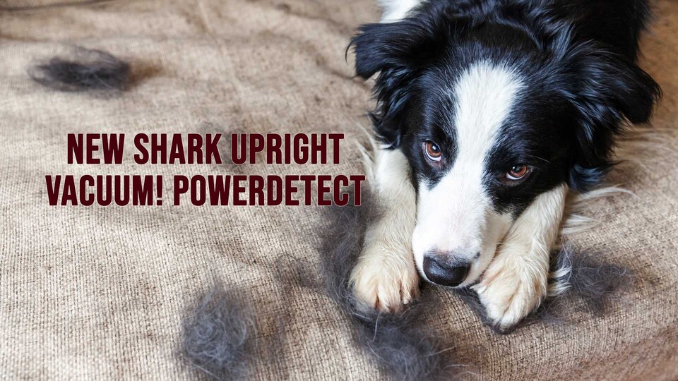 NEW Shark Upright Vacuum! PowerDetect