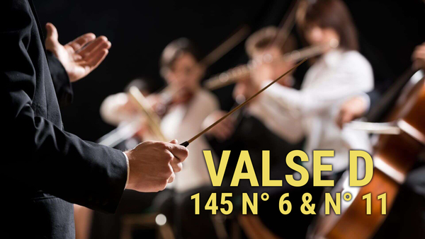 Valse D 145 n° 6 & n° 11
