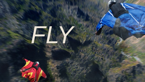 FLY
