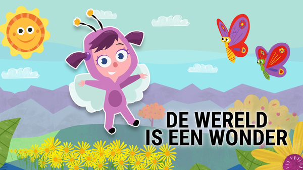 De wereld is een wonder