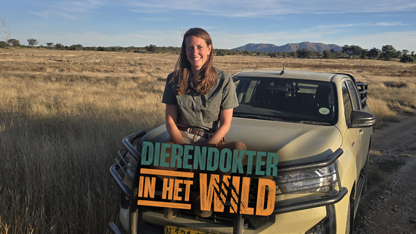 Dierendokter in het wild
