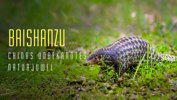 Baishanzu - Chinas unbekanntes Naturjuwel