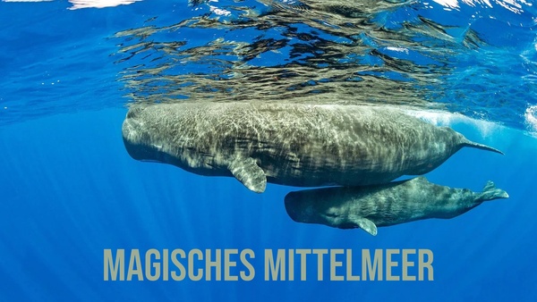 Magisches Mittelmeer
