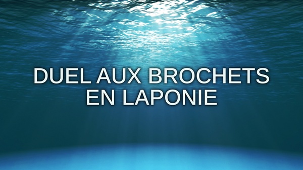 Duel aux brochets en Laponie