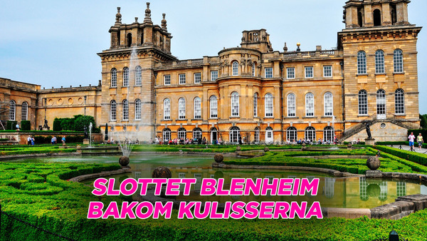 Slottet Blenheim bakom kulisserna