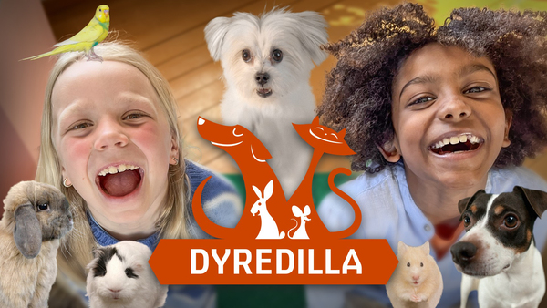 Dyredilla