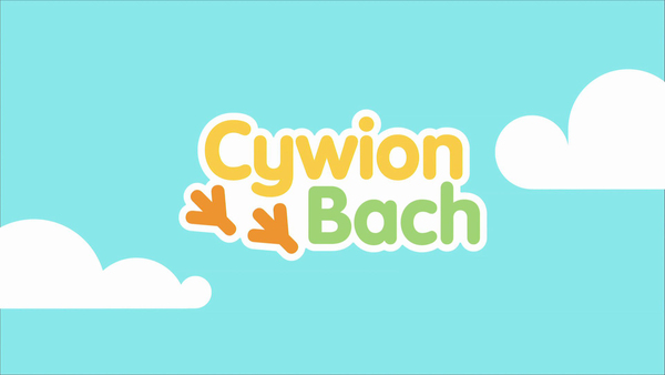 Cywion Bach