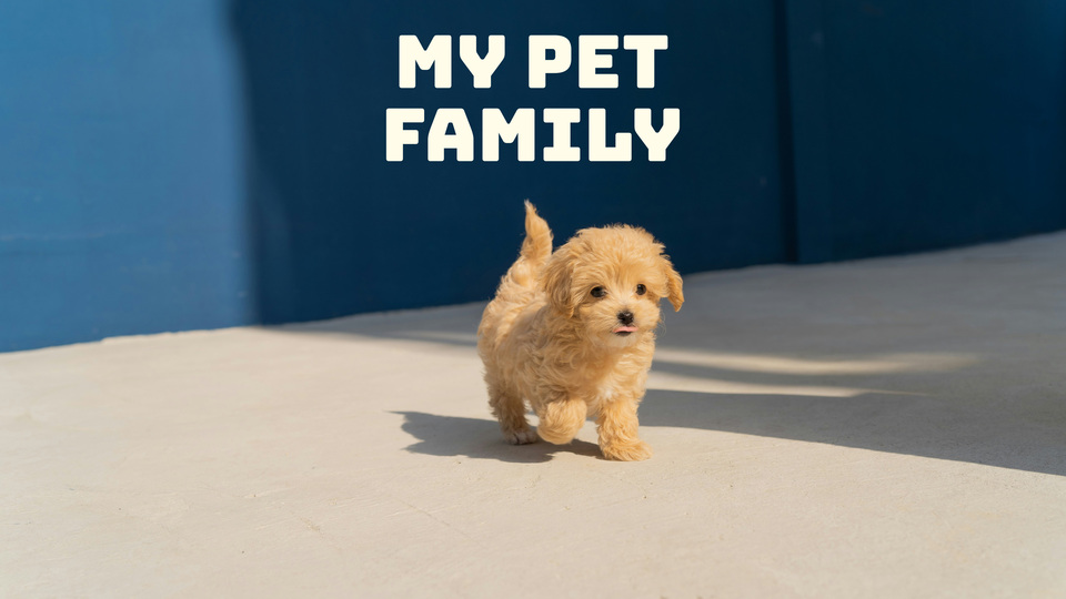 My Pet Family