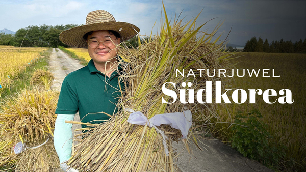 Naturjuwel Südkorea