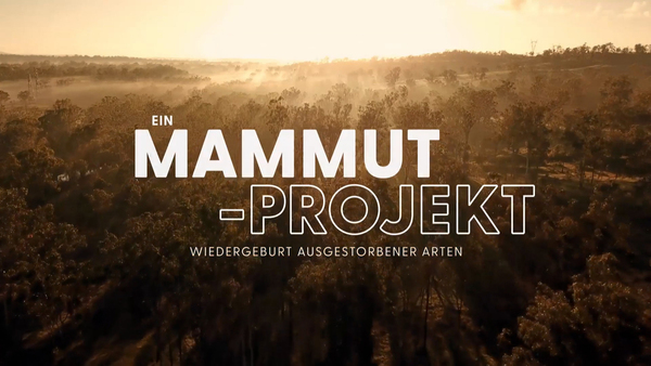 Ein Mammut-Projekt - Wiedergeburt ausgestorbener Arten