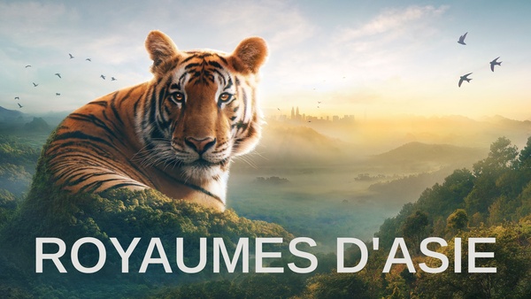 Royaumes d'Asie