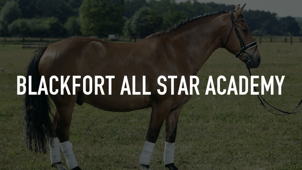 Blackfort All Star Academy