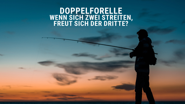 Doppelforelle: Wenn sich zwei streiten, freut sich der dritte?
