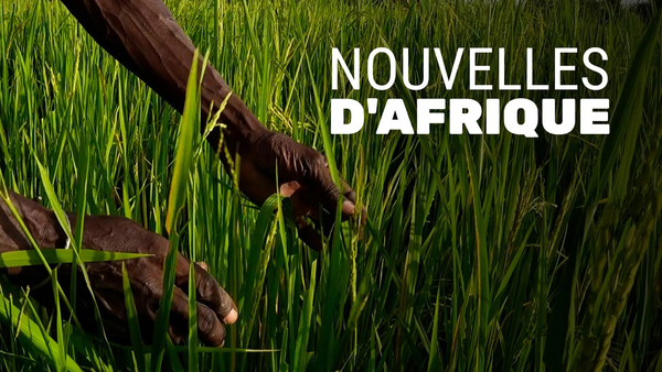 Nouvelles d'Afrique