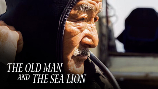 The Old Man and the Sea Lion
