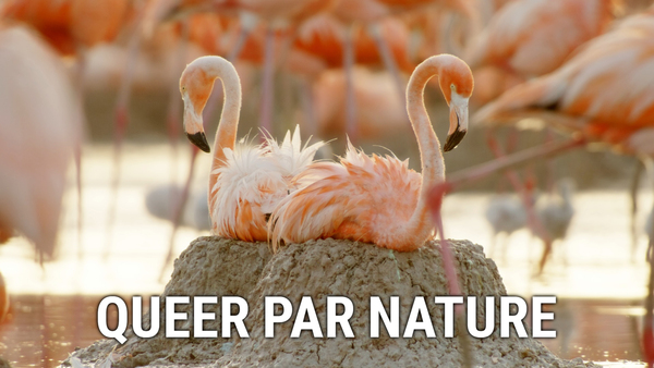 Queer par nature