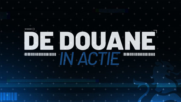 De douane in actie