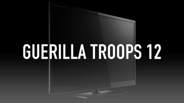 Guerilla Troops 12