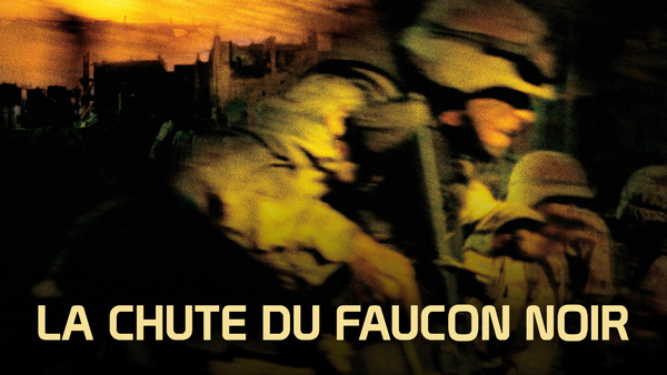 La chute du faucon noir