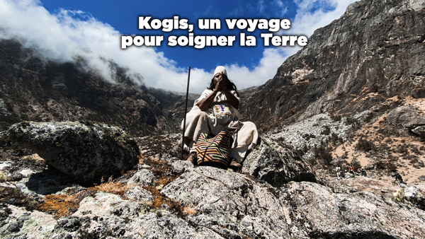 Kogis, un voyage pour soigner la Terre